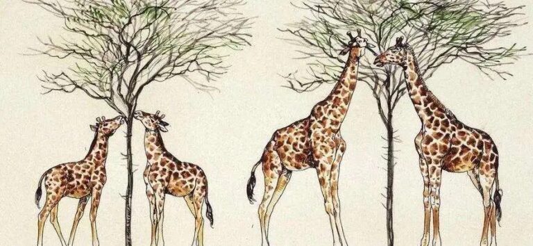 如何把问题变成机会（一）：适应力提升的五个方法| 文末有案例问答